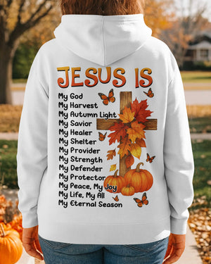 Jesus Is Hoodie